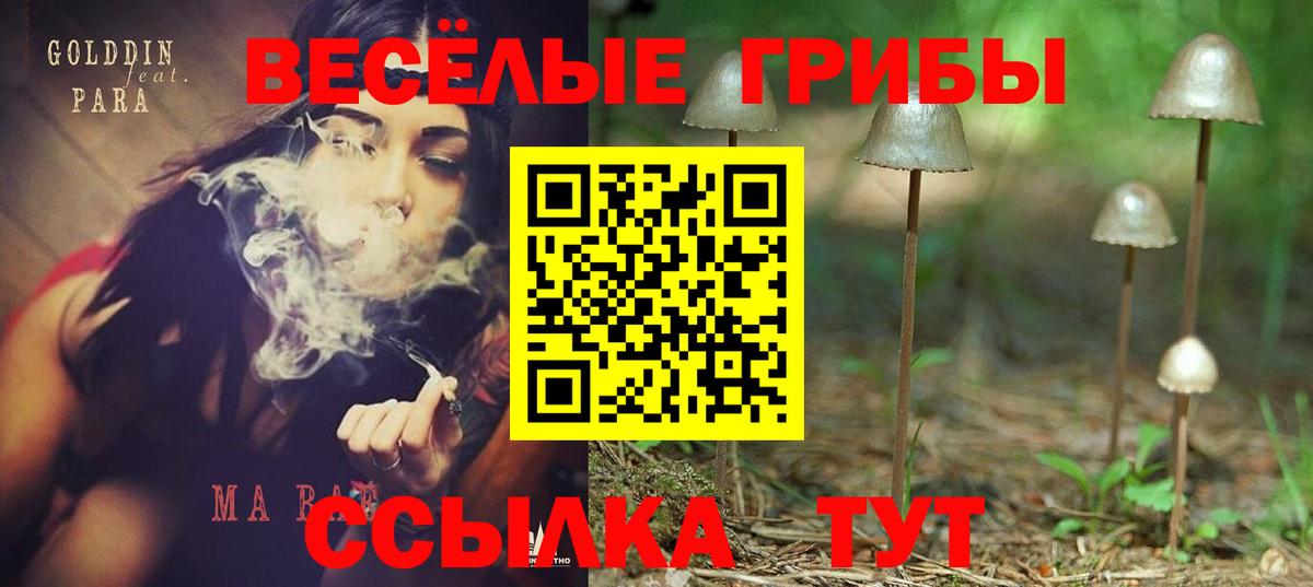 Сокол  Галлюциногенные грибы ЛСД  закладка  Галлюциногенные грибы MAGIC MUSHROOMS  Вход с VPN 